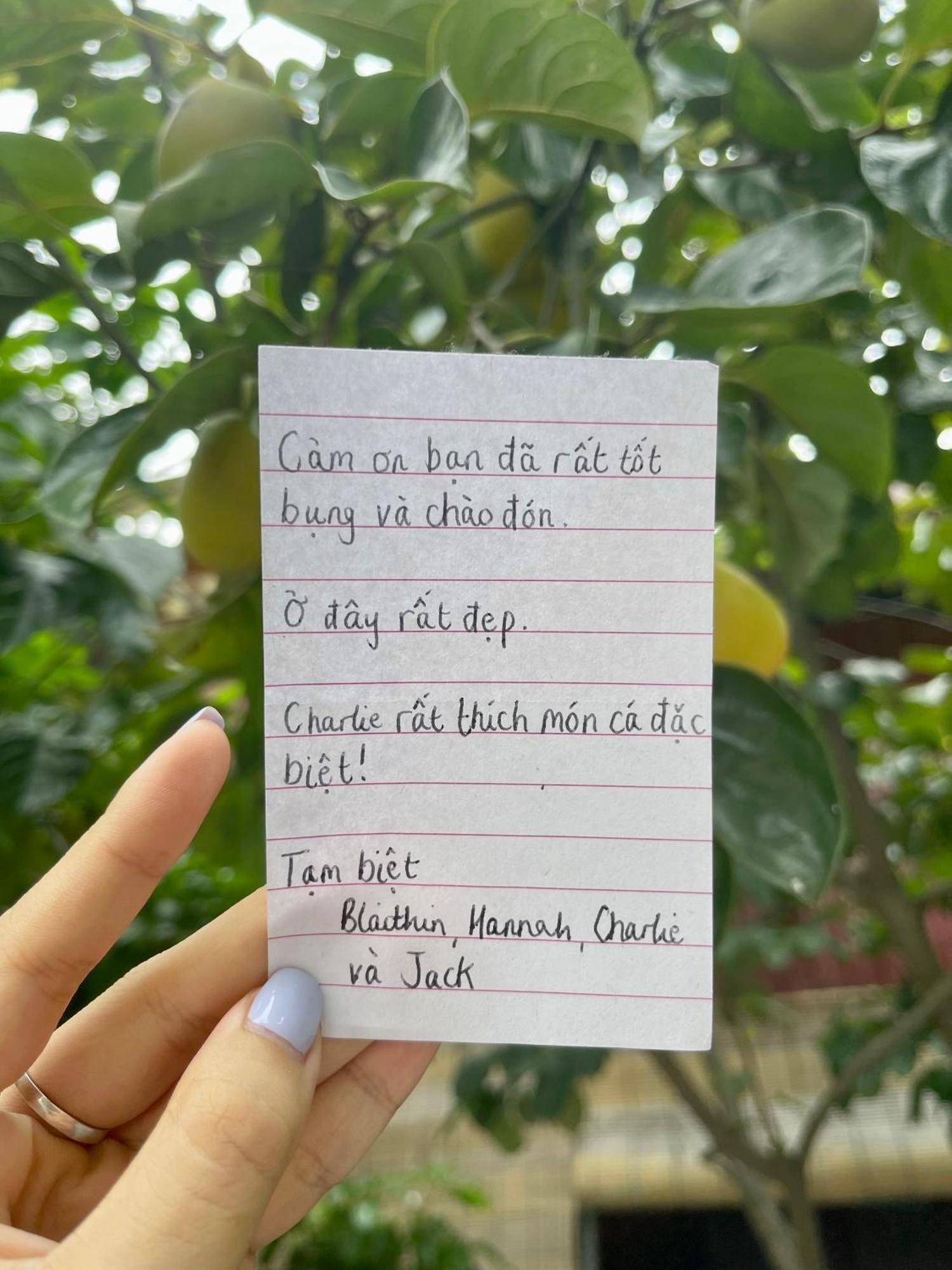 Trang An Memory Homestay ニンビン エクステリア 写真